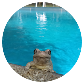 Activities (1) Activities (1)