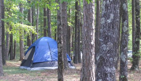 pinecrest-tent-1 pinecrest-tent-1