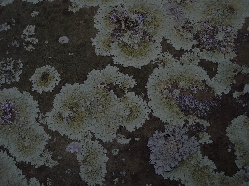 2024 Summer Ministry Assistant Job Description