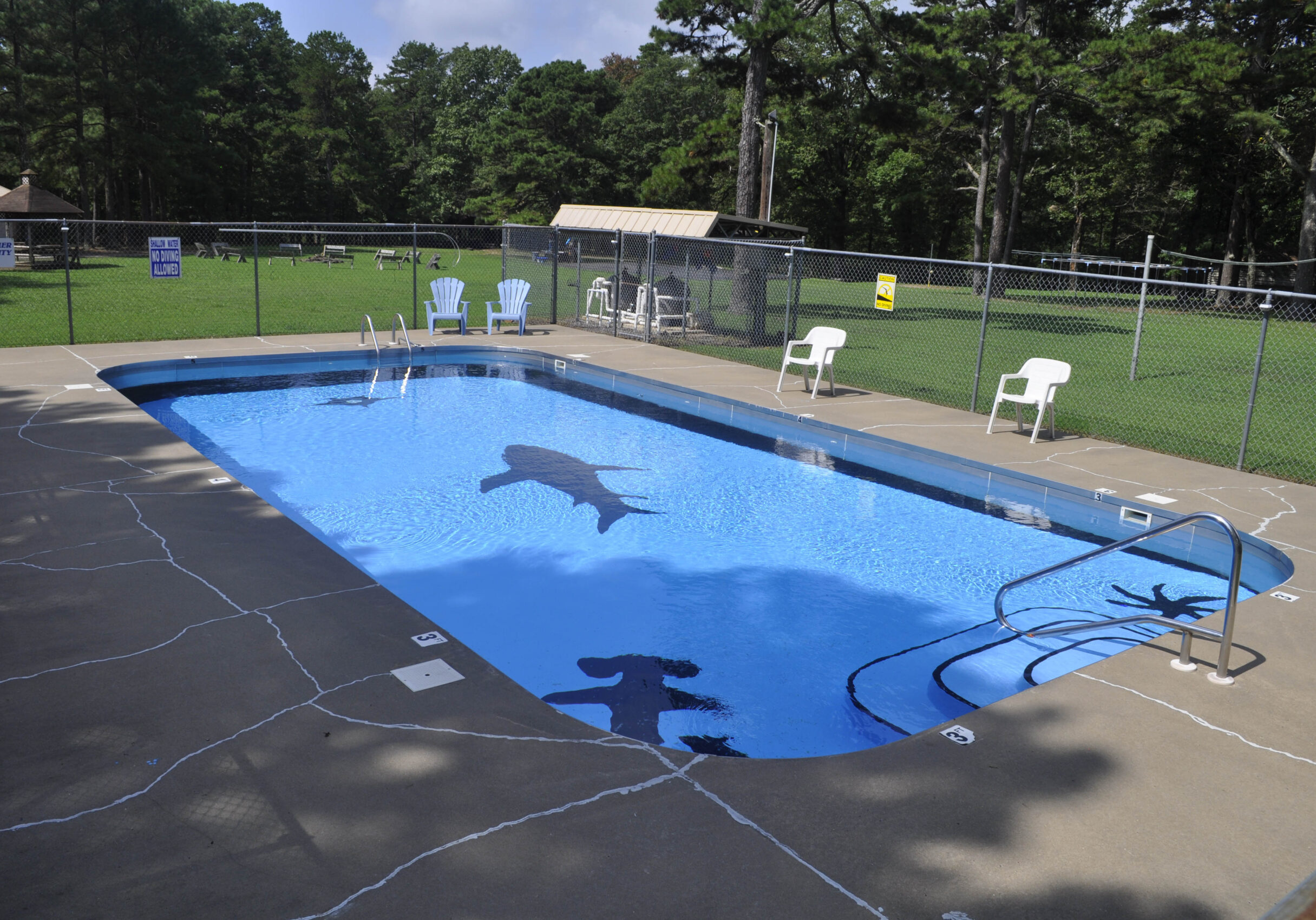 _DSC4880 rz _DSC4880 rz